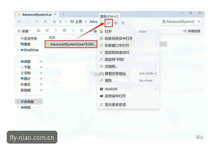 小鸟体育最新下载完整指南：从安装到高效使用的全流程解析